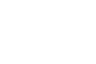2019 ANSI ASD Logo White